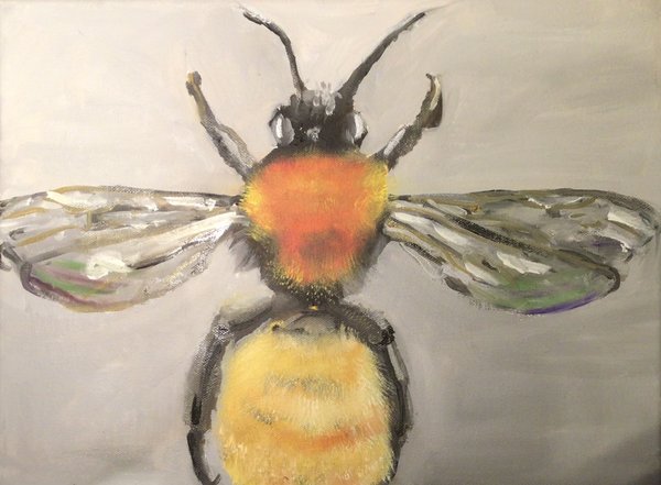 Kunst Bild Gemälde einer Wildbiene die Flügel sind transparend und schimmernd und der Körger ist puschelig gelb rot braun der Hintergund ist hellgrau man sieht auf die Biene herab bzw die Oberseite der Biene